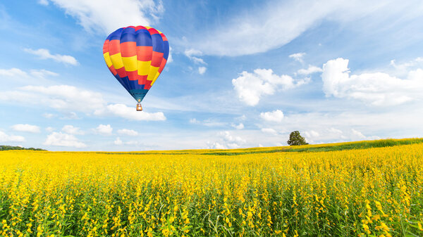 Hot air balloon over yellow flower fields against blue sky