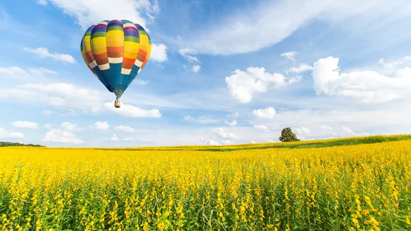 Hete luchtballon over gele bloembollenvelden tegen blauwe hemel — Stockfoto