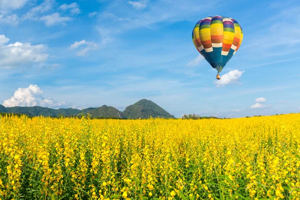 Globo de aire caliente sobre campos de flores amarillas contra el cielo azul — Foto de Stock