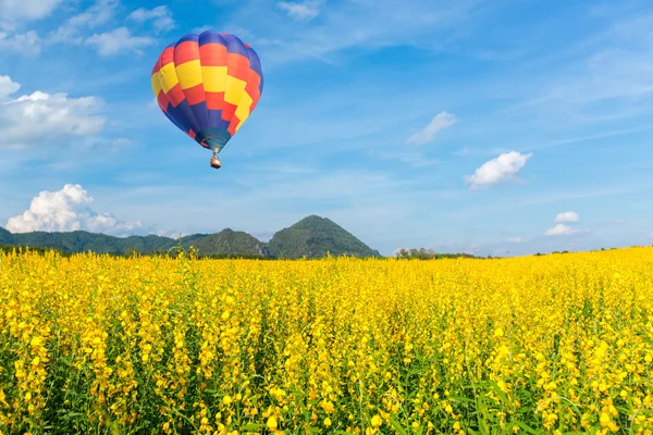 Hete luchtballon over gele bloembollenvelden tegen blauwe hemel — Stockfoto