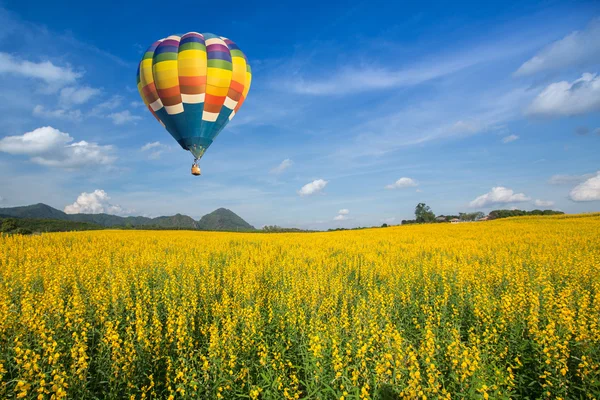Balão de ar quente sobre campos de flores amarelas contra o céu azul — Fotografia de Stock