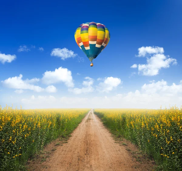 Hot air balloon over dirt road into yellow flower fields with cl — Stock Photo, Image