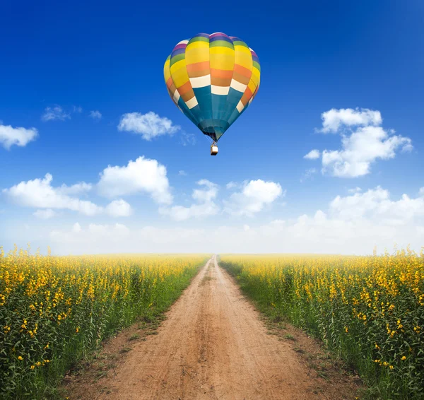 Globo de aire caliente sobre camino de tierra en campos de flores amarillas con cl —  Fotos de Stock