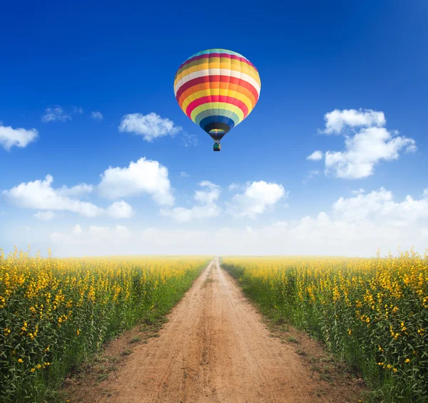 Globo de aire caliente sobre camino de tierra en campos de flores amarillas con cl — Foto de Stock