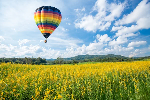 Balão de ar quente sobre campos de flores amarelas contra o céu azul — Fotografia de Stock