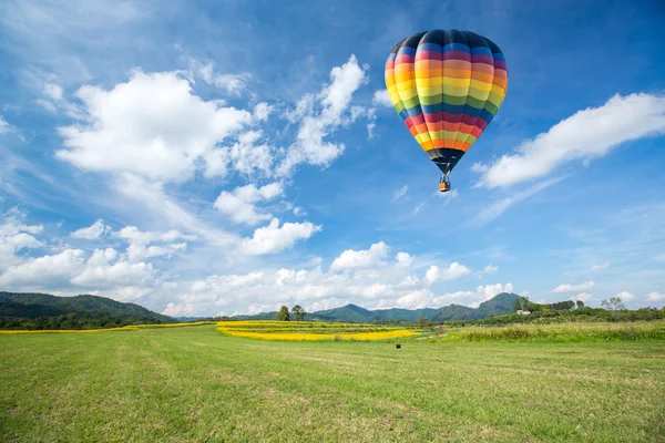 Hot air balloon over yellow flower fields against blue sky — Stock Photo, Image