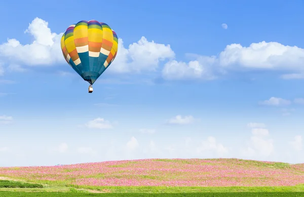 Balão de ar quente sobre campos cosmos rosa com fundo azul céu — Fotografia de Stock