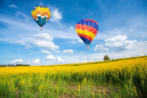 Balão de ar quente sobre campos de flores amarelas contra o céu azul — Fotografia de Stock