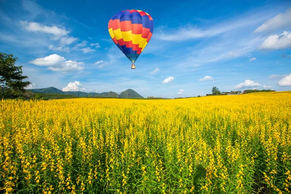 Luftballong över gul blomma fält mot blå himmel — Stockfoto