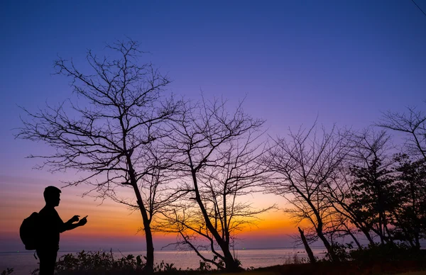 Homem silhueta usando smartphone com árvore morta e praia de pôr do sol — Fotografia de Stock