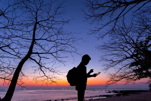 Silhouette man using tablet computer with dead tree and sunset b