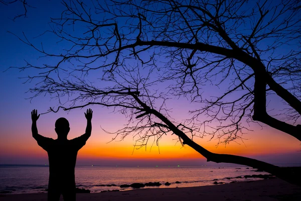 Silhouette man show his hand up in the air with dead tree at sun — Stock Photo, Image