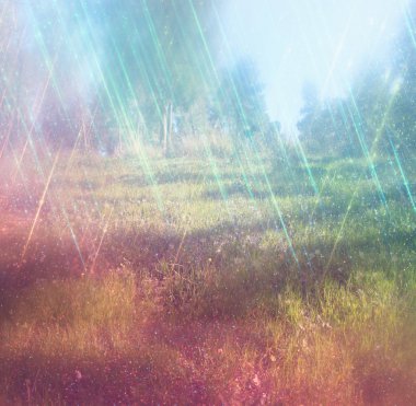 soyut fotoğraf ışığın ağaçlar ve glitter bokeh ışıklar arasında seri. görüntü bulanık ve filtre.