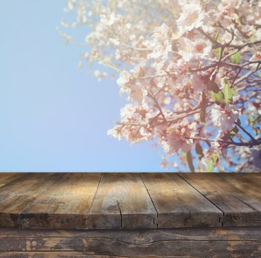 wooden rustic table in front of spring white cherry blossoms tree. vintage filtered image. product display and picnic concept clipart