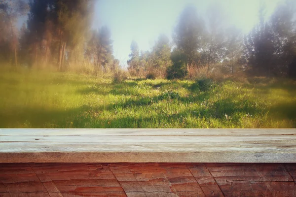 Sfondo di pannelli di legno rustico anteriore e sfondo astratto foresta . — Foto Stock