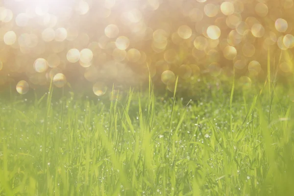 Abstract dreamy and blurred image of grass with sun flare. vintage filtered — Stock Photo, Image