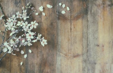 image of spring white cherry blossoms tree on wooden table. vintage filtered and toned clipart