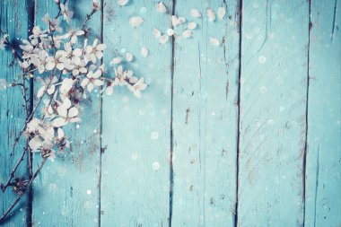 abstract image of spring white cherry blossoms tree on blue wooden table. vintage filtered image with glitter overlay