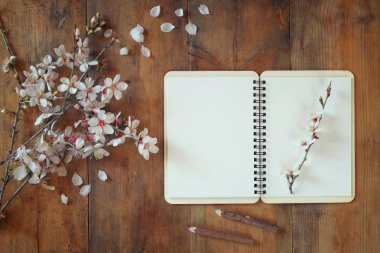 top view image of spring white cherry blossoms tree, open blank notebook next to wooden colorful pencils on wooden table. vintage filtered and toned image clipart
