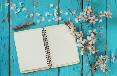top view image of spring white cherry blossoms tree, open blank notebook next to wooden colorful pencils on blue wooden table. vintage filtered and toned image