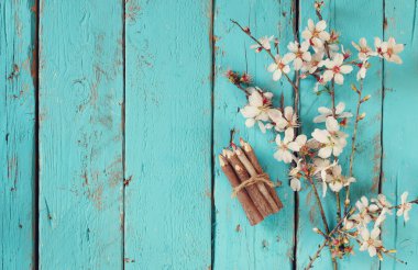 image of spring white cherry blossoms tree next to wooden colorful pencils on blue wooden table clipart