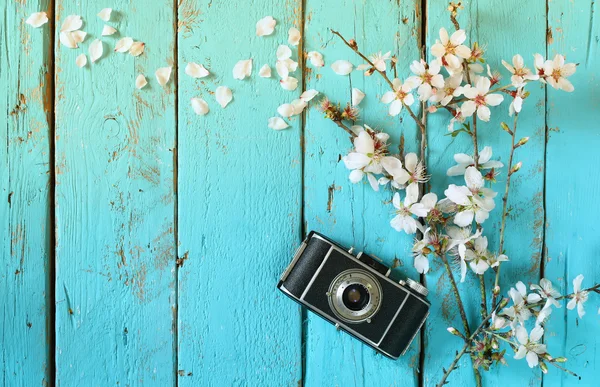 Imagen vista superior del árbol de flores de cerezo blanco de primavera junto a la vieja cámara en la mesa de madera azul —  Fotos de Stock