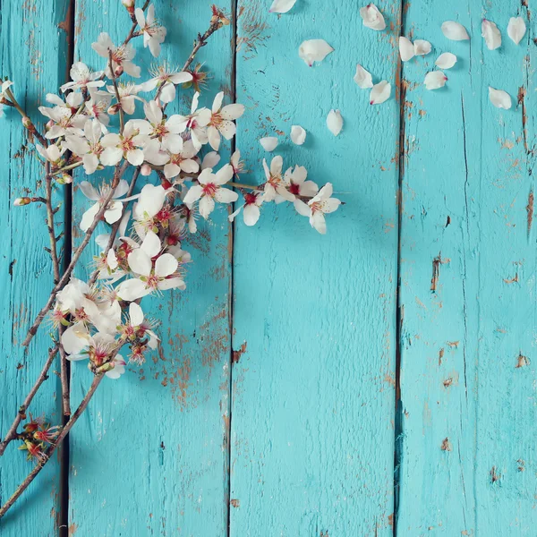 Изображение весенней белой сакуры, цветущей на синем деревянном столе — стоковое фото