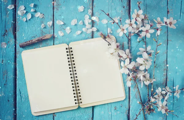 Abstract image of spring white cherry blossoms tree, open blank notebook next to wooden colorful pencils on blue wooden table. vintage filtered with glitter overlay — Stock fotografie