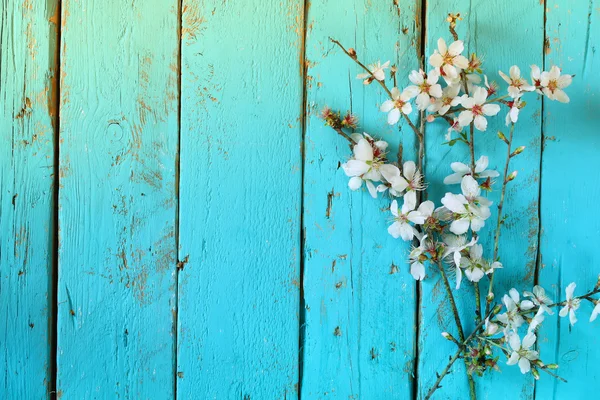 Изображение весенней белой сакуры, цветущей на синем деревянном столе. винтажное отфильтрованное изображение — стоковое фото