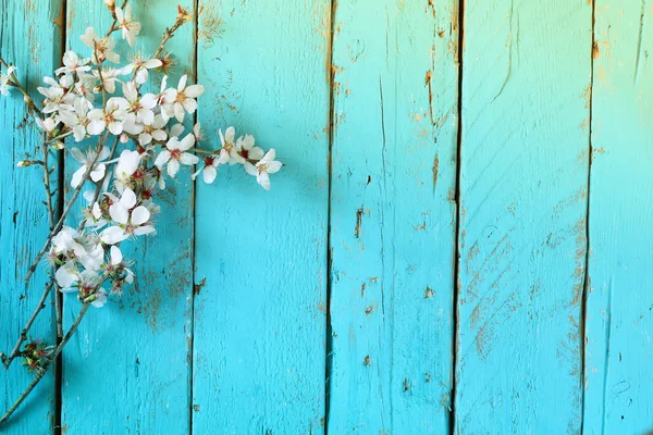 Imagen de árbol de flores de cerezo blanco de primavera en la mesa de madera azul. vintage imagen filtrada —  Fotos de Stock