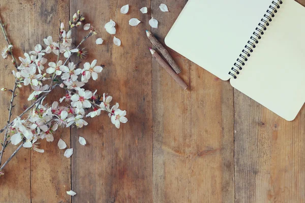 Top view image of spring white cherry blossoms tree, open blank notebook next to wooden colorful pencils on wooden table. vintage filtered and toned image — Φωτογραφία Αρχείου