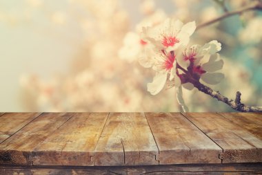 wooden rustic table in front of spring white cherry blossoms tree. vintage filtered image. product display and picnic concept clipart