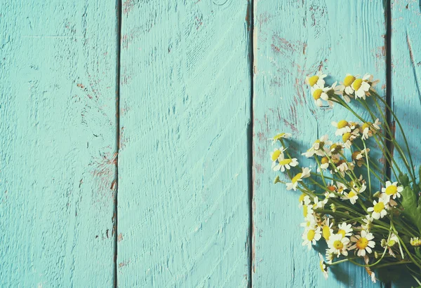 top view image of daisy flowers on blue wooden table. vintage filtered and toned