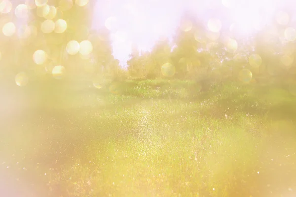 Abstract photo of forest and glitter bokeh lights. image is blurred and filtered. — Stock Photo, Image