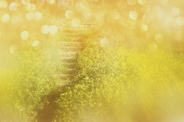 Abstract dreamy photo of spring meadow with wildflowers. vintage filtered image. selective focus — Stock Photo, Image