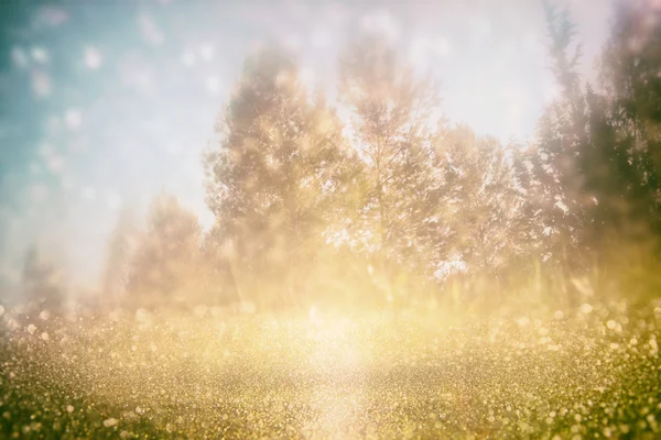 숲과 반짝이 bokeh 빛의 추상 사진입니다. 이미지 흐리게 및 필터링. — 스톡 사진