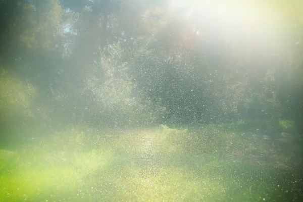 Fotografia abstrata de luzes bokeh floresta e brilho. imagem é borrada e filtrada . — Fotografia de Stock