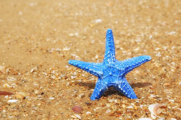 Estrellas de mar azules decorativas en la playa del mar —  Fotos de Stock