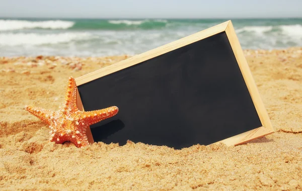 Estrelas-do-mar e quadro-negro, na areia do mar e no horizonte oceânico — Fotografia de Stock