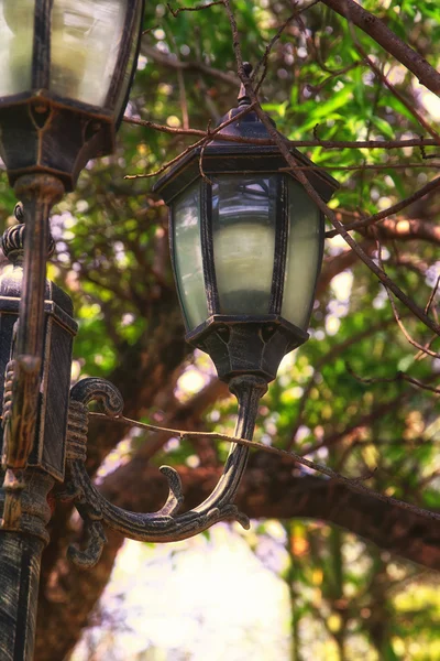 Antique street lantern among tree branches. vintage filtered image — Stock Photo, Image