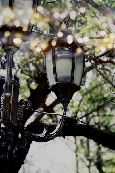 木の枝の間でアンティークの街ランタンの抽象的な写真。ヴィンテージ フィルタ リングされたきらめきのイメージ — ストック写真