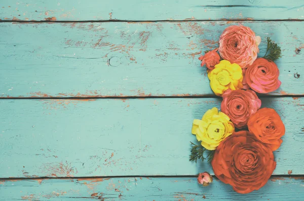 Widok z góry kolorowy wiosna kwiatów na niebieskim tle drewniane. Vintage filtrowane — Zdjęcie stockowe