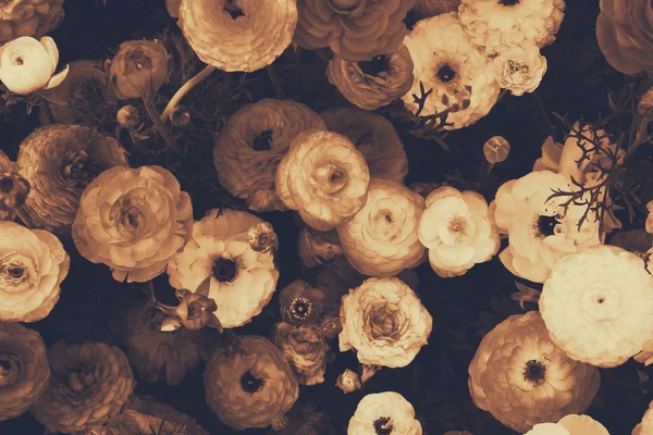 Close up of spring flowers. top view photo. sepia style photo — Stock Photo, Image