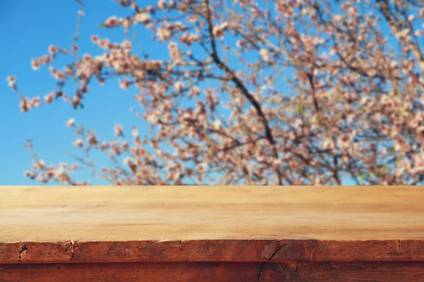 Tabela na frente de flores de cereja brancas de primavera — Fotografia de Stock