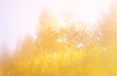 ağaçlar ve glitter bokeh ışıkların bulanık soyut fotoğraf
