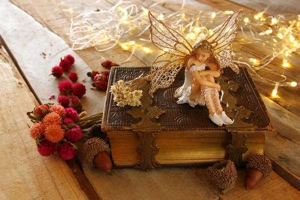 Eski kitap yanındaki ormandaki büyülü küçük peri — Stok fotoğraf