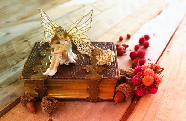 Zauberhafte kleine Fee im Wald neben altem Buch — Stockfoto