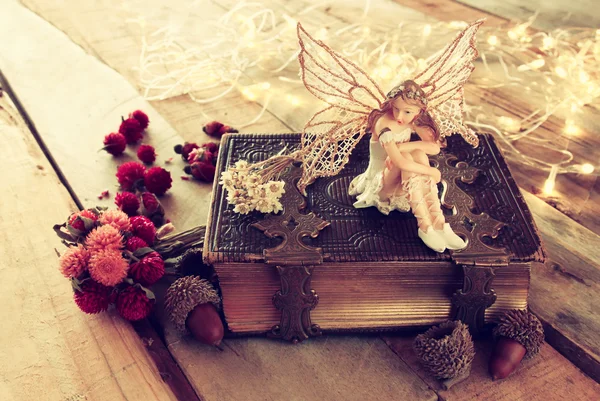 古い本の隣の森の小さな妖精の魔法 — ストック写真