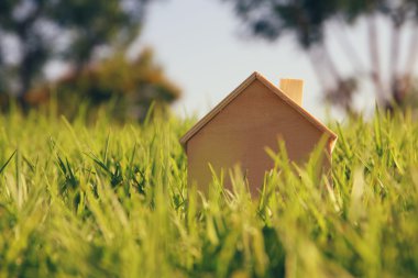 Antika ahşap oyuncak ev ormanın içinde görüntü