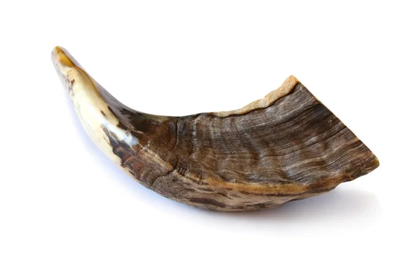 Shofar (cuerno). Rosh hashaná (Año Nuevo judío) symbo tradicional — Foto de Stock